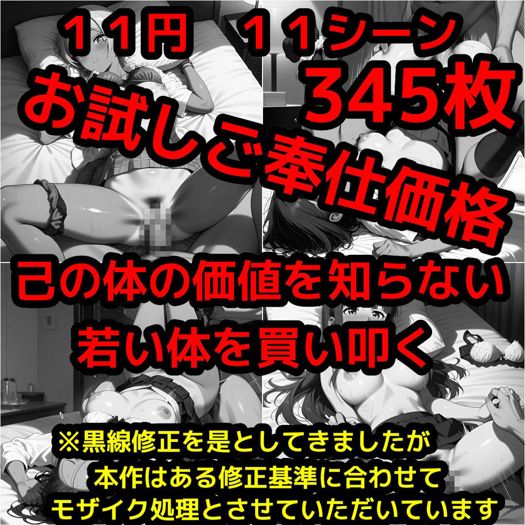 11円乞う サンプル画像1
