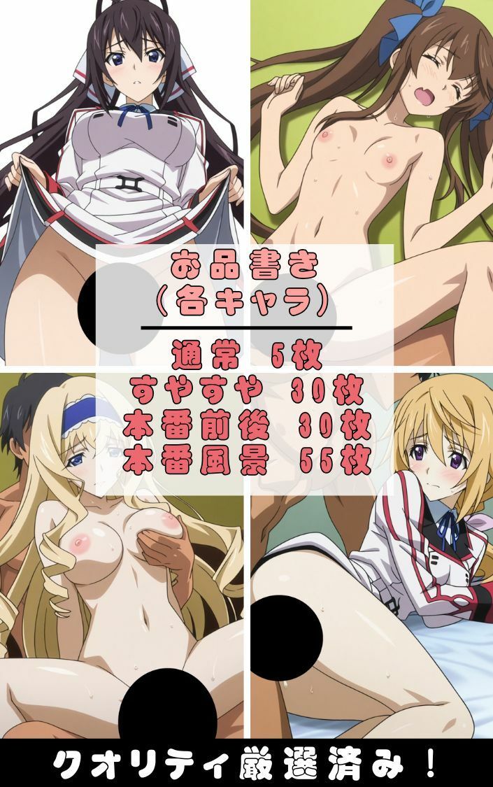 『IS 〈イ●フィニット・ストラトス〉』ヒロイン脱がしてみた ムキムキ色黒モブがヤリたい放題 スマホでも見やすい縦型 シチュエーション＆クオリティ厳選済み480枚！ サンプル画像1