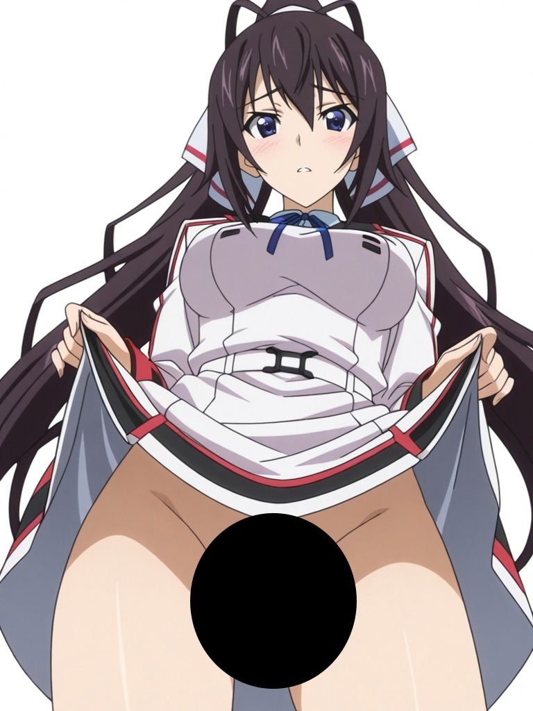 『IS 〈イ●フィニット・ストラトス〉』ヒロイン脱がしてみた ムキムキ色黒モブがヤリたい放題 スマホでも見やすい縦型 シチュエーション＆クオリティ厳選済み480枚！ サンプル画像3