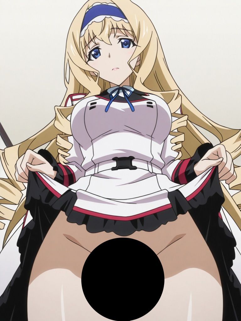 『IS 〈イ●フィニット・ストラトス〉』ヒロイン脱がしてみた ムキムキ色黒モブがヤリたい放題 スマホでも見やすい縦型 シチュエーション＆クオリティ厳選済み480枚！ サンプル画像4