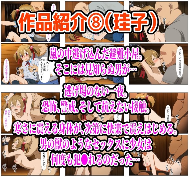 【986P】SAO総集編 サンプル画像8