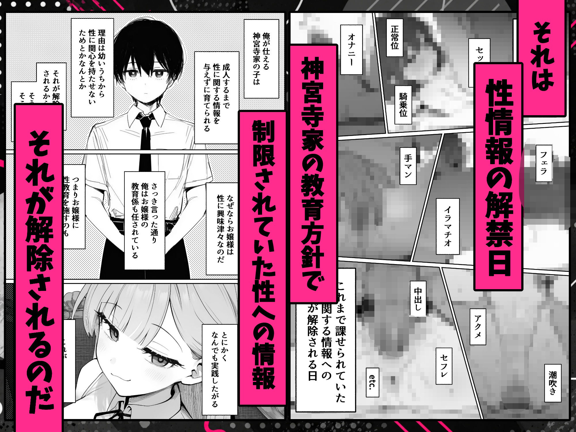 お嬢様はセックスをご所望です サンプル画像2