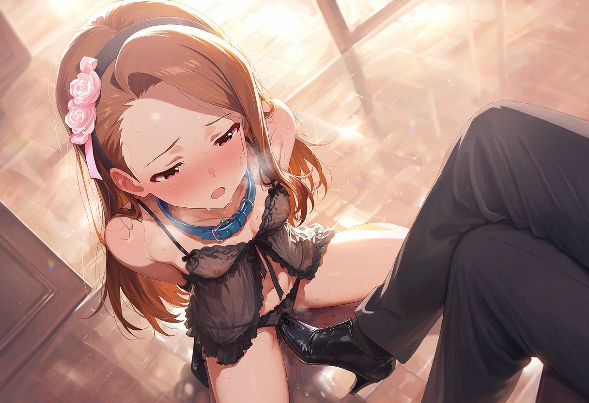 アイドルVIP会場引き回し サンプル画像2
