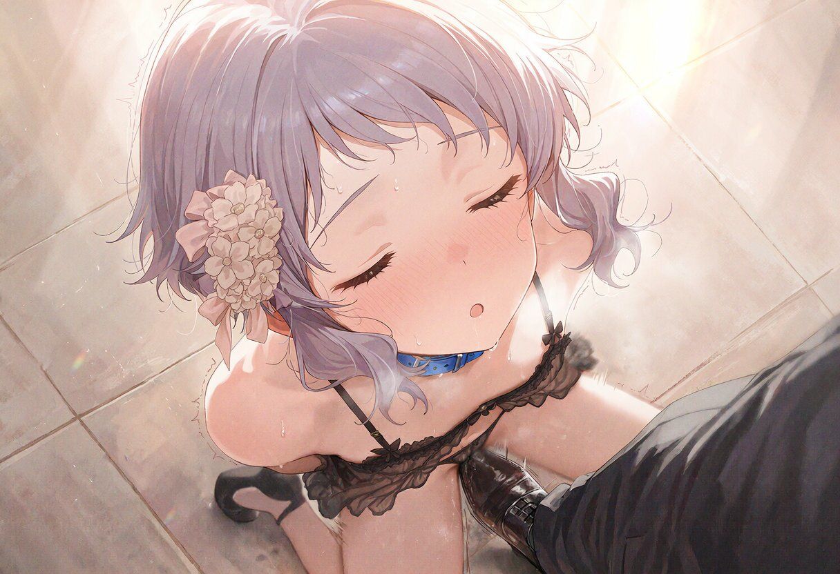 アイドルVIP会場引き回し サンプル画像6