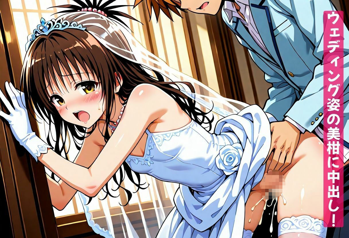 ウェディングセックスとらぶるヒロイン8人大集合！【ララ・モモ・ナナ・古手川・春菜・メア・ヤミ・美柑編】 サンプル画像1