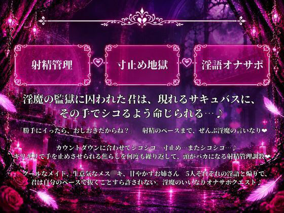 オナサポクエスト〜淫魔による管理〜 サンプル画像1