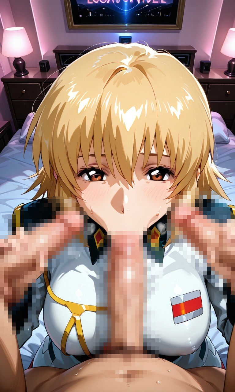 ガン〇ムSEED  フェラチオCG集 サンプル画像10