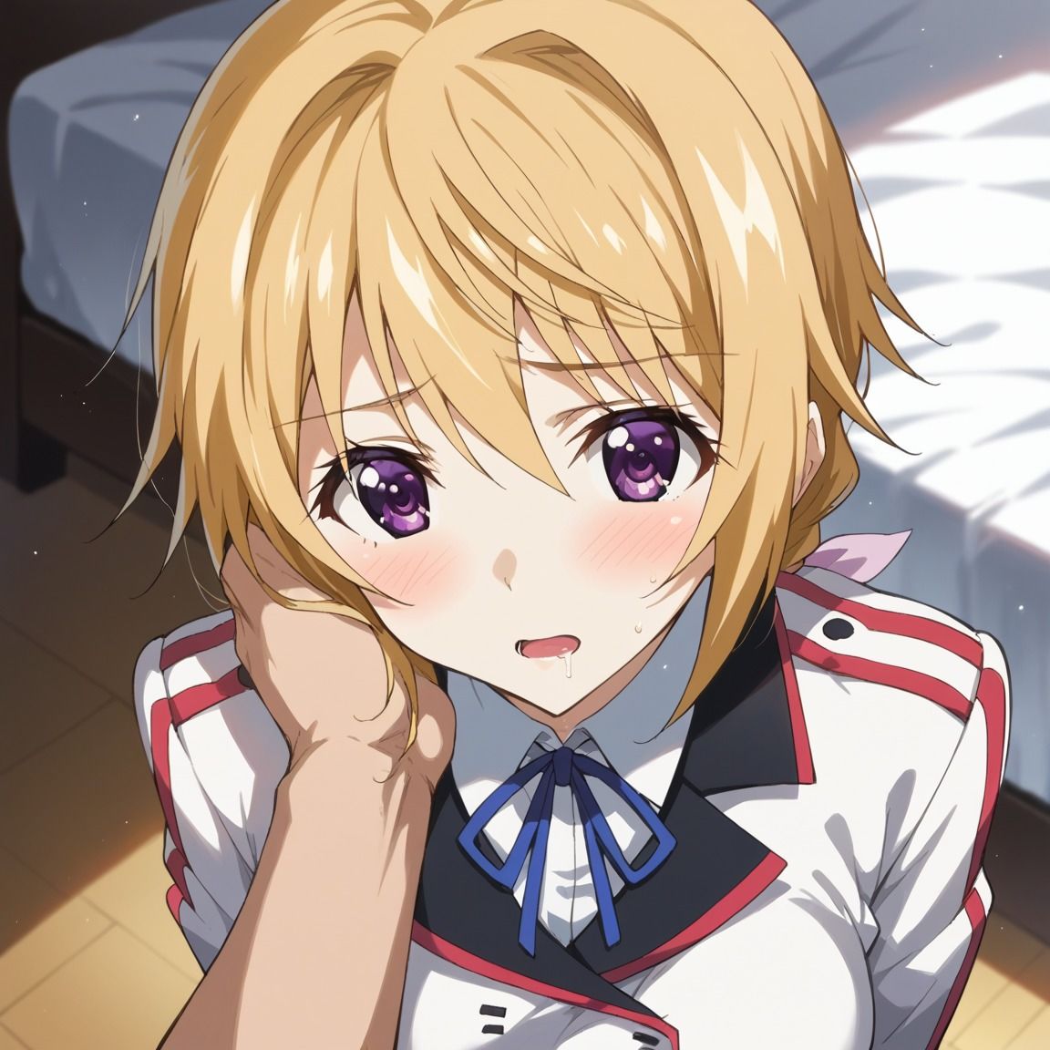 シャルロット・デュノアイラスト集1 サンプル画像1