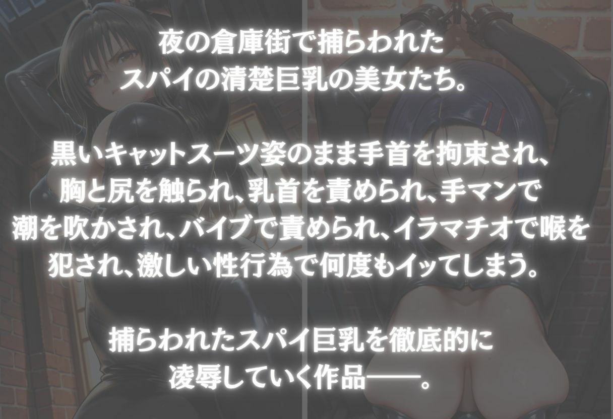 スパイ巨乳を捕らえて黒いキャットスーツのまま犯した話 Vol.1 サンプル画像1