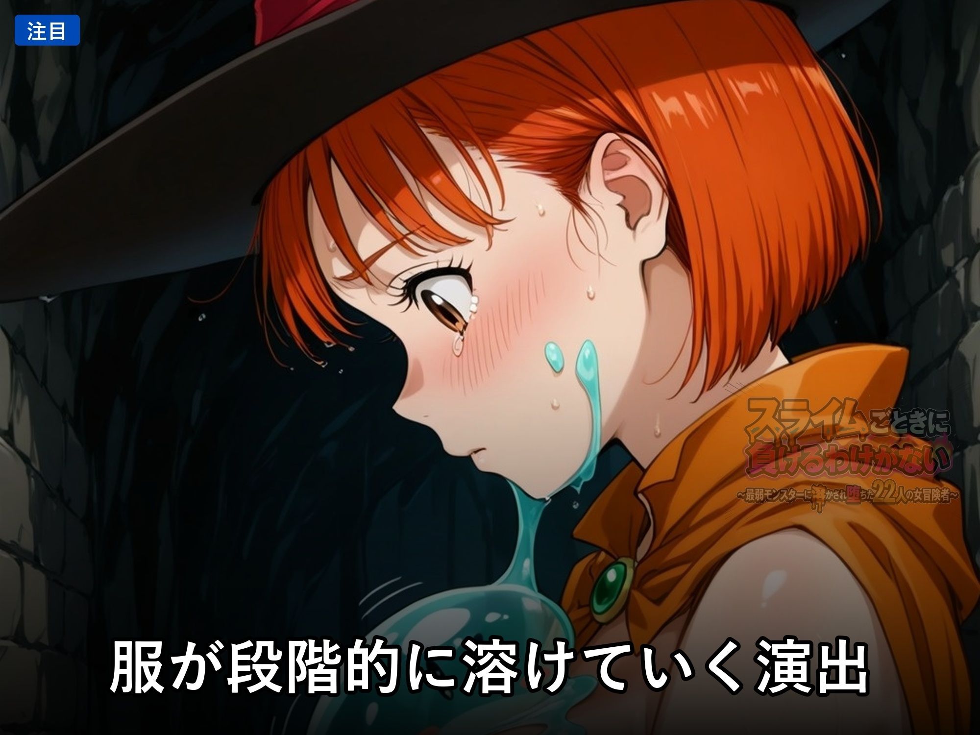 スライムごときに負けるわけがない 〜最弱モンスターに溶かされ堕ちた22人の女冒険者〜 サンプル画像1