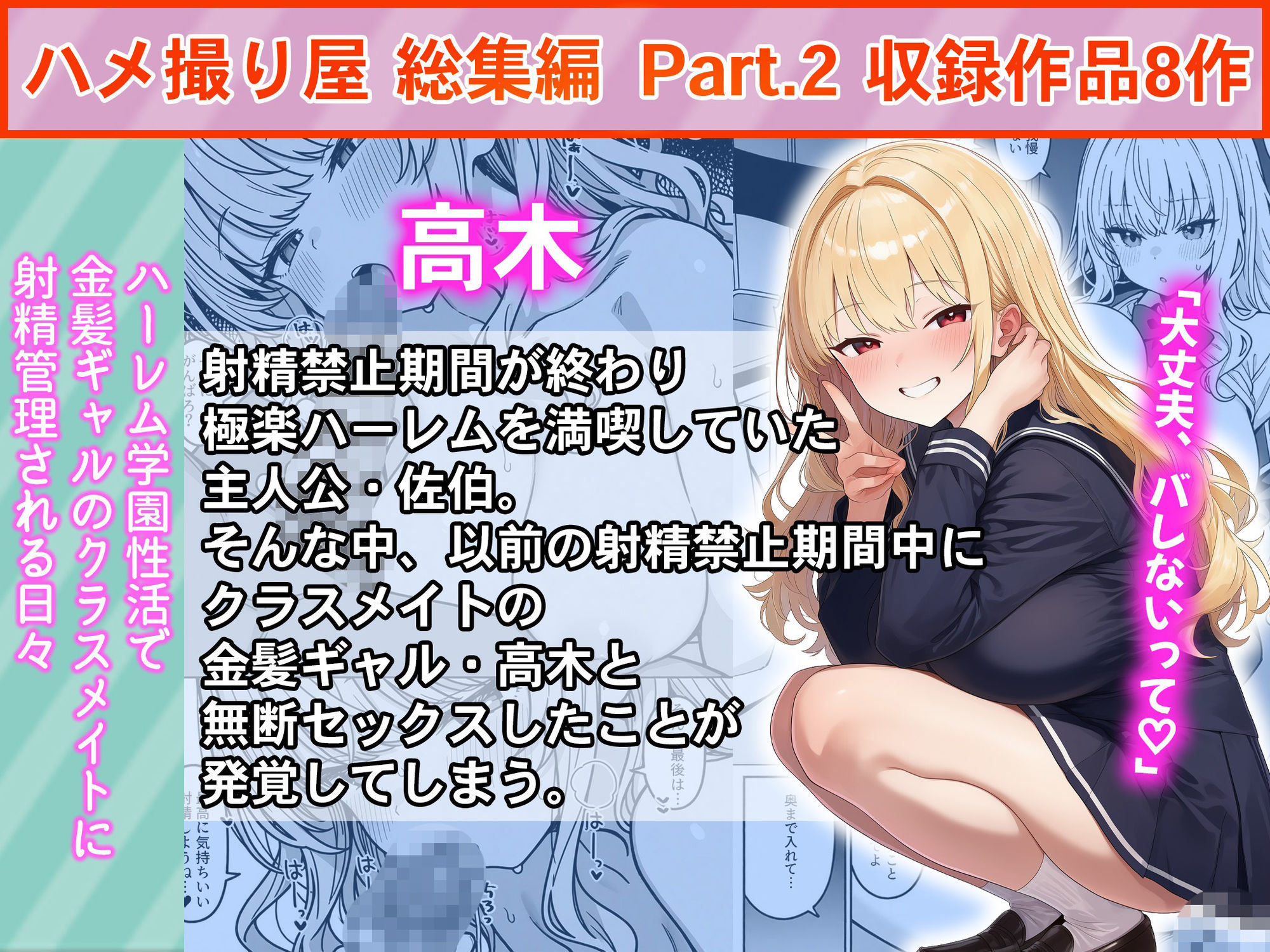 ハメ撮り屋  総集編2 サンプル画像2