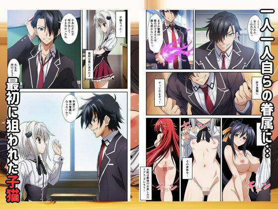 ハーレムハイスクールD×D！もしリアスの眷属が俺のものになったら サンプル画像2