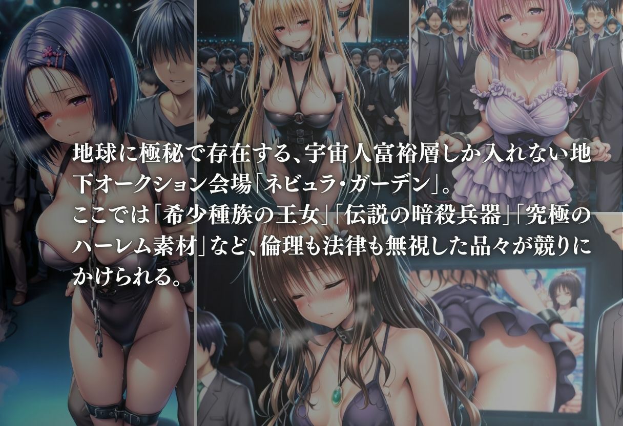 ヒロイン監禁  地下オークション サンプル画像2