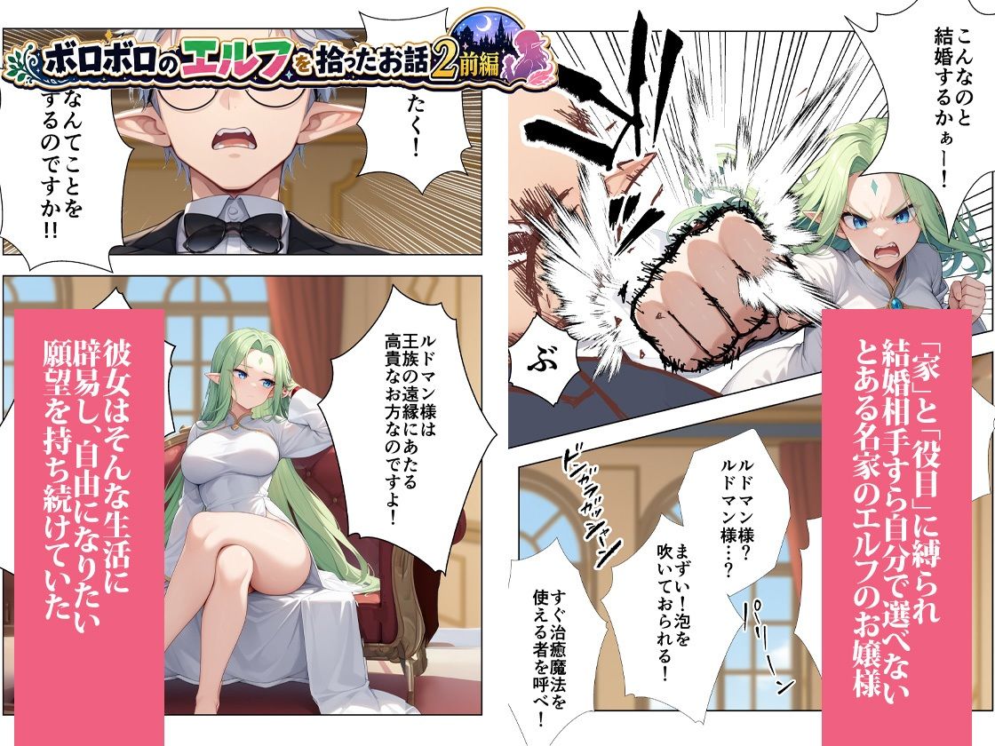 ボロボロのエルフを拾ったお話総集編 サンプル画像4
