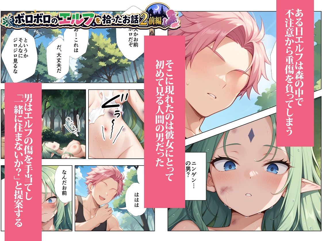 ボロボロのエルフを拾ったお話総集編 サンプル画像5