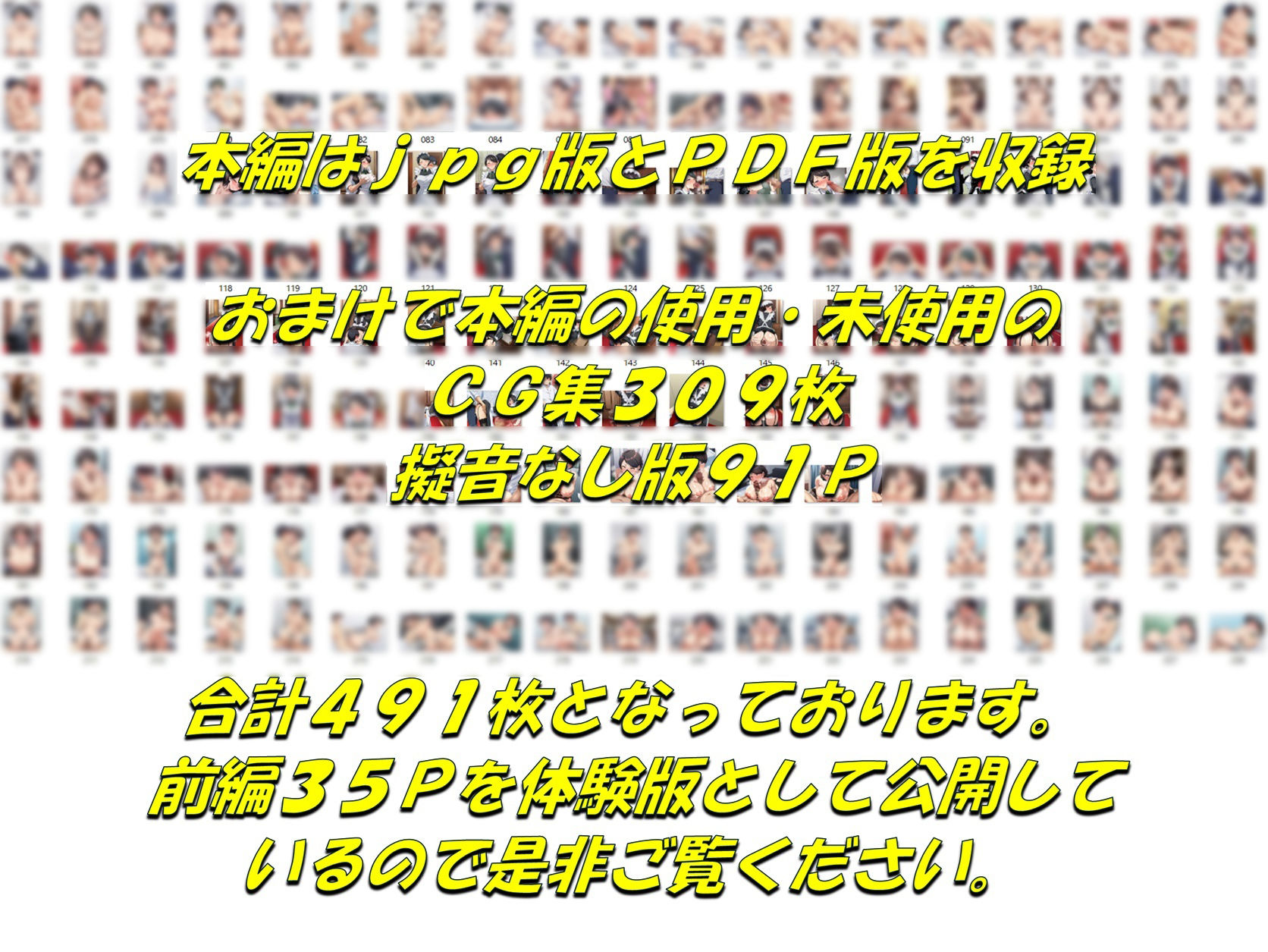 メイドで童貞卒業するよう言われたので昔から好きだった行き遅れ処女メイド長を寵愛して孕ませる話 サンプル画像10