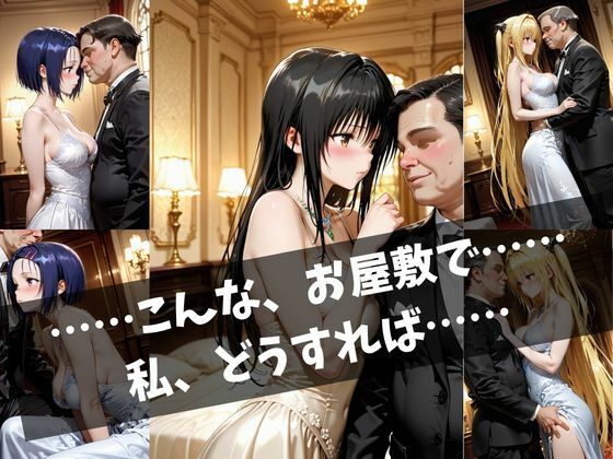 令嬢と老紳士の夜 〜恥じらいの豪邸奉仕〜 サンプル画像2