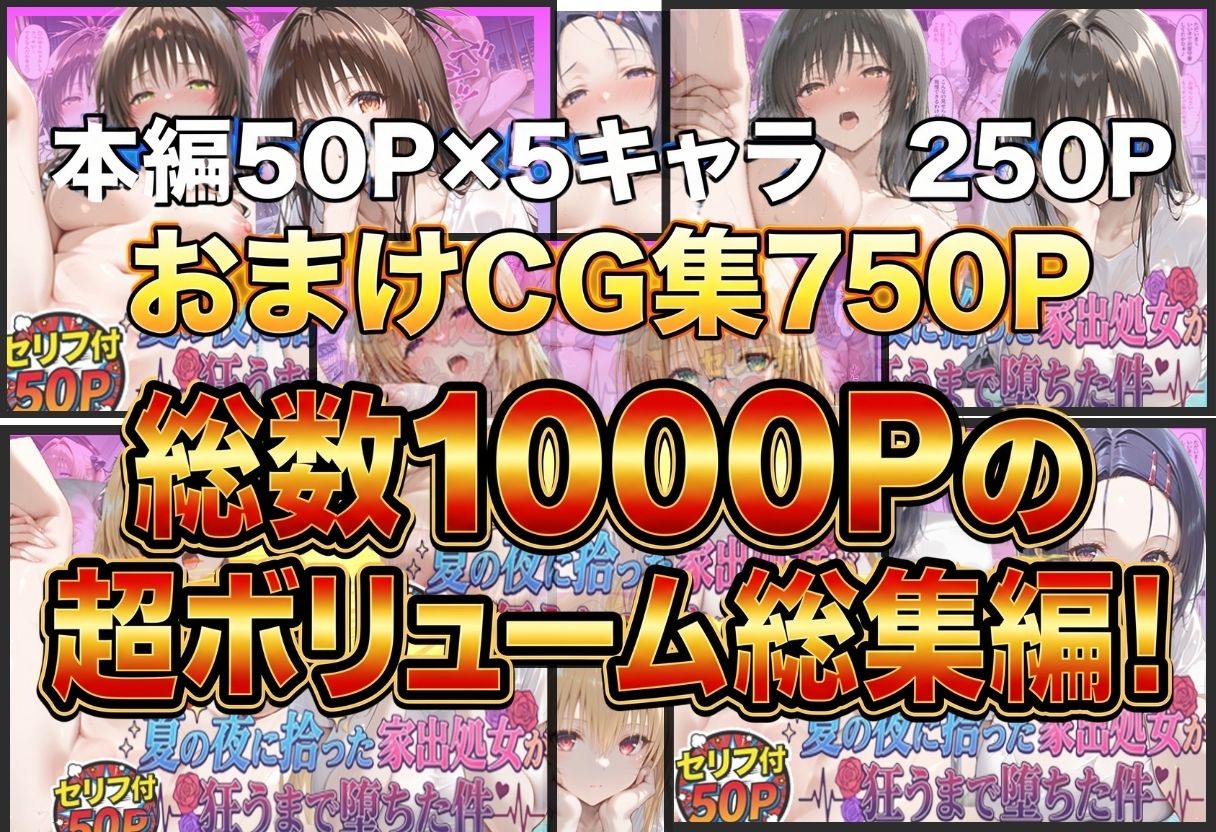 夏の夜に拾った家出処女が狂うまで堕ちた件  To L〇veる総集編 サンプル画像1