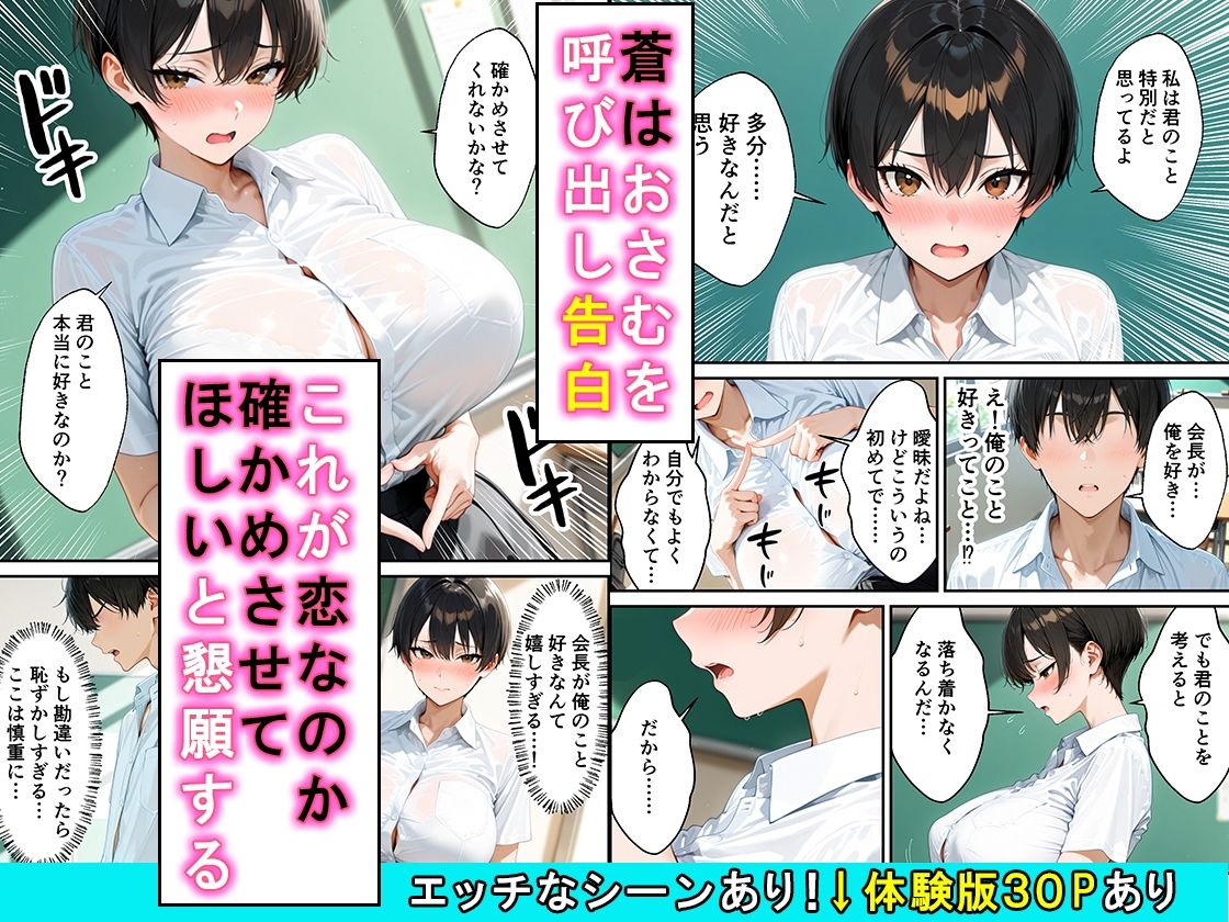 女の子扱いされたい王子様な生徒会長があまあま中出しセックスでメスになる話 サンプル画像5