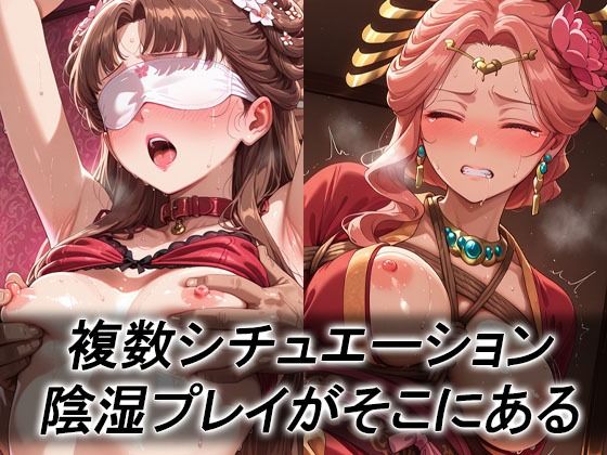 妄想ヒロイン〜陰の章〜、薬屋のひ〇りごと、玉葉妃、梨花妃、里樹妃 サンプル画像2
