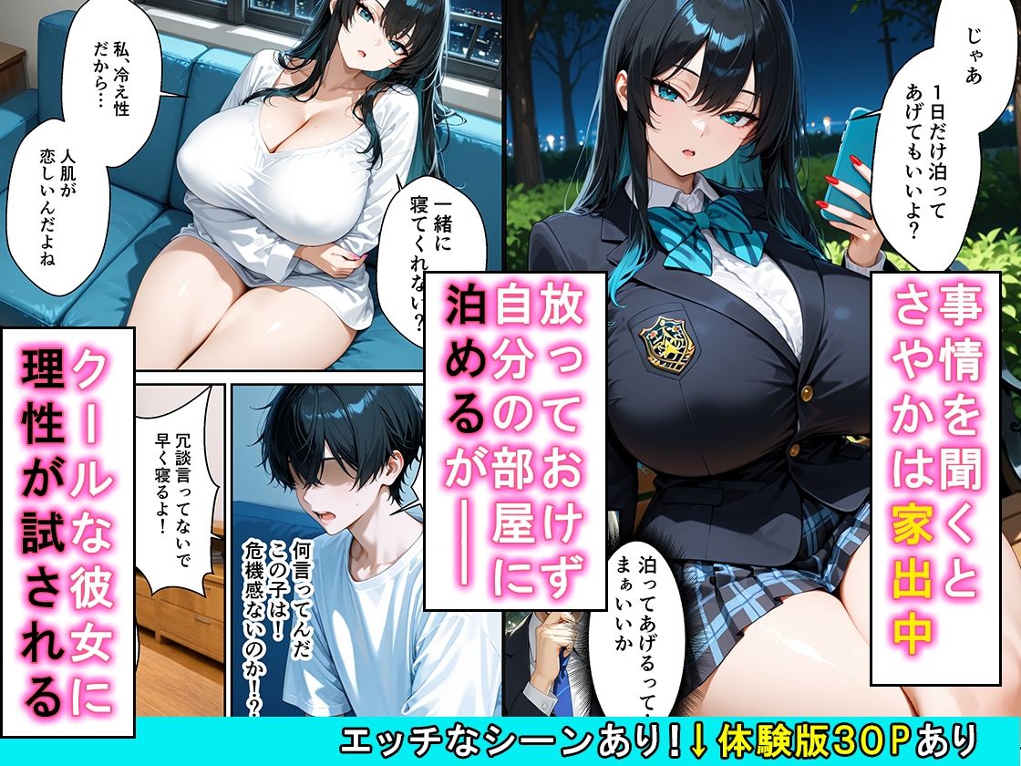 家出したクールなギャルを拾ったらベタ惚れされてイチャラブセックスした話 サンプル画像2