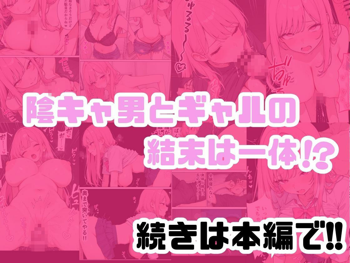 家出女子のギャルがうちに来たので学校でも中出し種付けセックスした話。 サンプル画像10