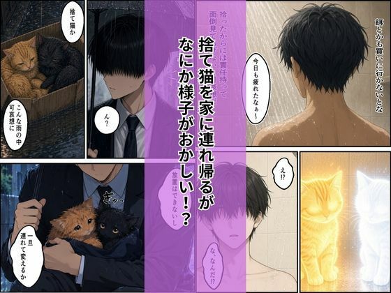 拾った子猫たちがえっちな化け猫で毎日ヤりたい放題 サンプル画像2
