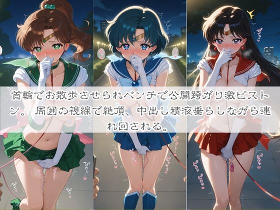 清楚系ヒロインがホームレスに拉致されて監禁いいなりオナホ化 セ〇ラームーン サンプル画像4