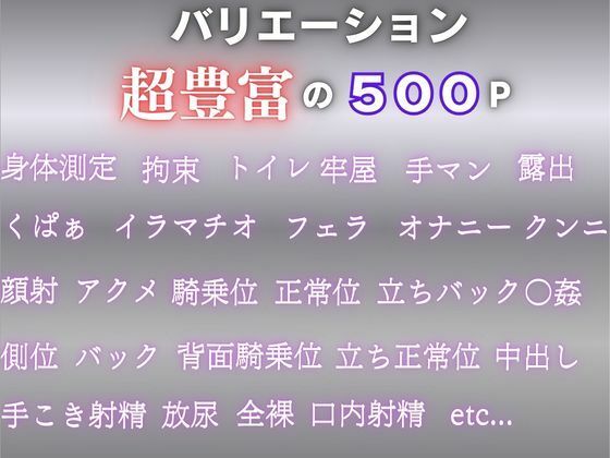 監獄の花嫁 ― 捕らわれの少女が味わう屈辱と快楽の記録 ― サンプル画像1