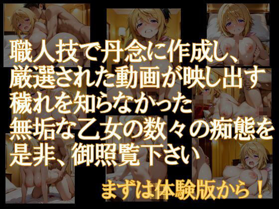 純潔乙女落花妖艶録 其ノ三 シャル●ット・デュノア編 サンプル画像2