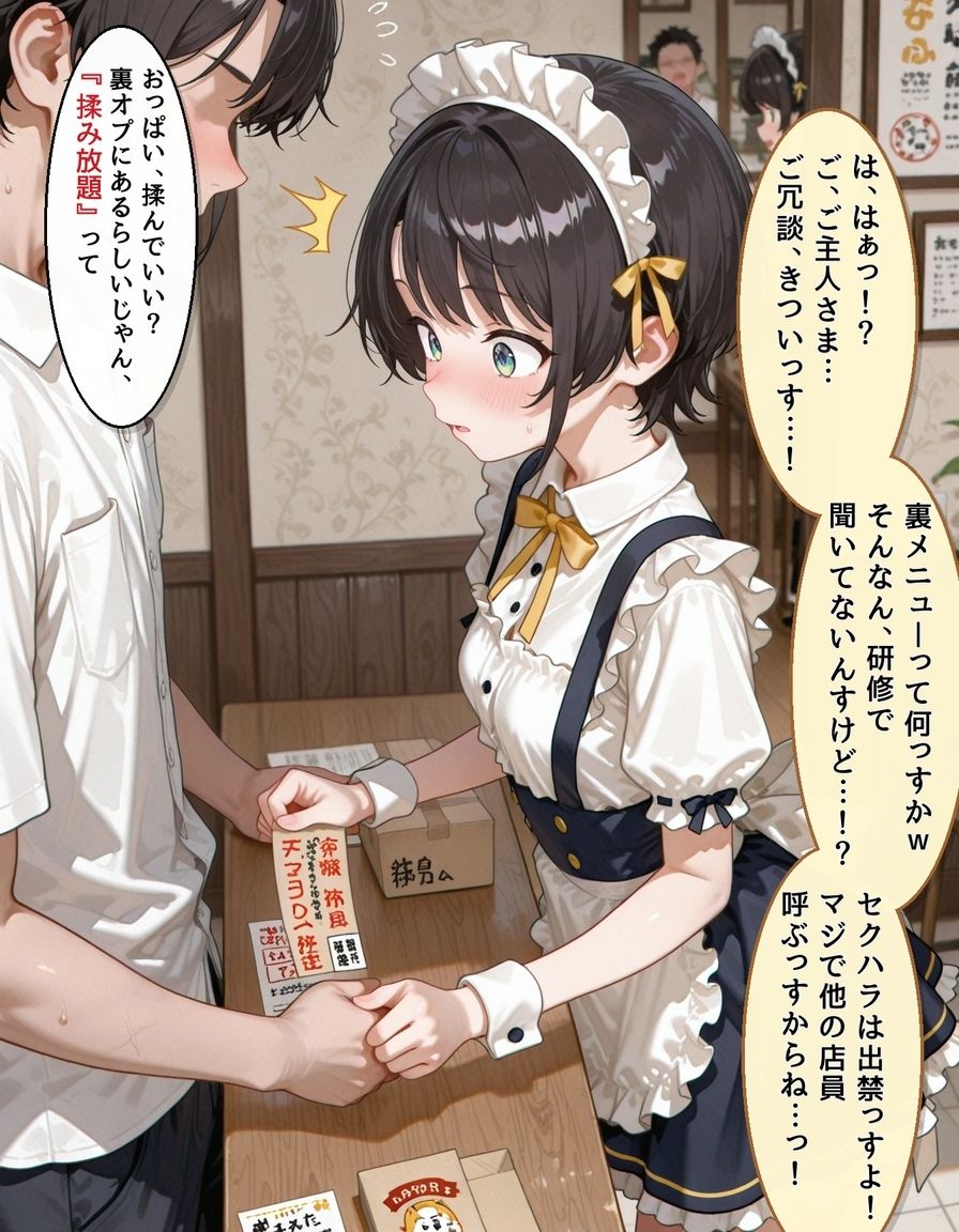 裏オプ新人メイド 大〇スバル サンプル画像1