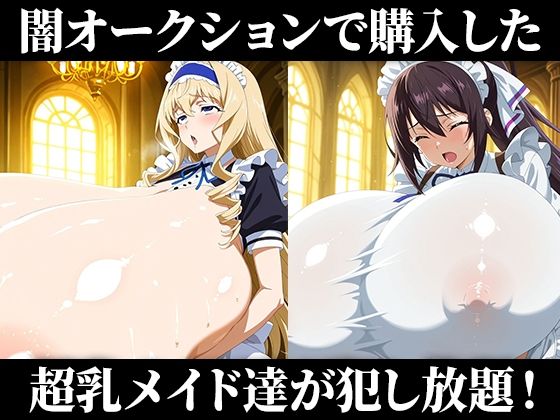 闇オークションで買われた超乳少女達は、メイドとしてご主人様の子供を孕み続ける… 【シャルロッ〇デュノア/セシリ〇オルコット/篠ノ〇箒/織〇千冬】 サンプル画像1