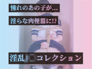憧れのあの子が...淫らな肉便器に！？淫乱J〇コレクション