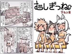 むしぎつね3セット目