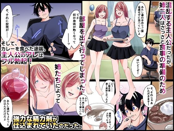 『特別ご奉仕価格』ブラコンのお姉ちゃんたちと。双子の姉たちが大事に取っておいた処女を貰って欲しいと誘惑してくる最高の夏休み！ サンプル画像2