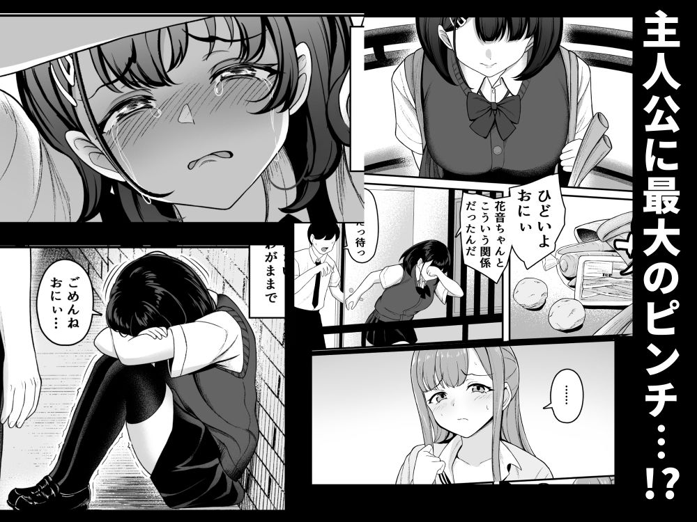 お家ハーレム！？  Sっ気の義妹とMっ気の幼馴染！ サンプル画像10