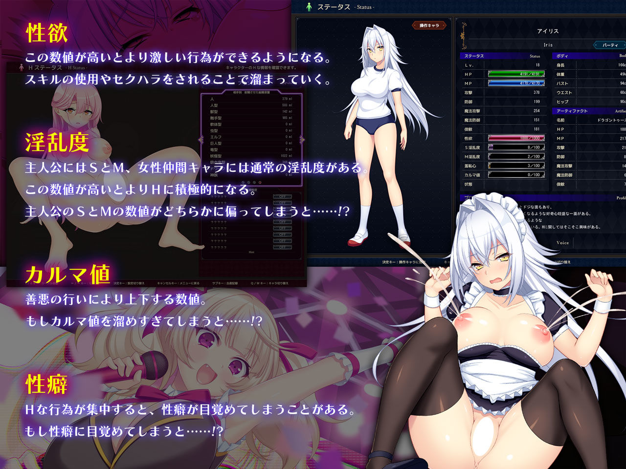 ドラゴンブラッド＋追加DLC1セット サンプル画像1