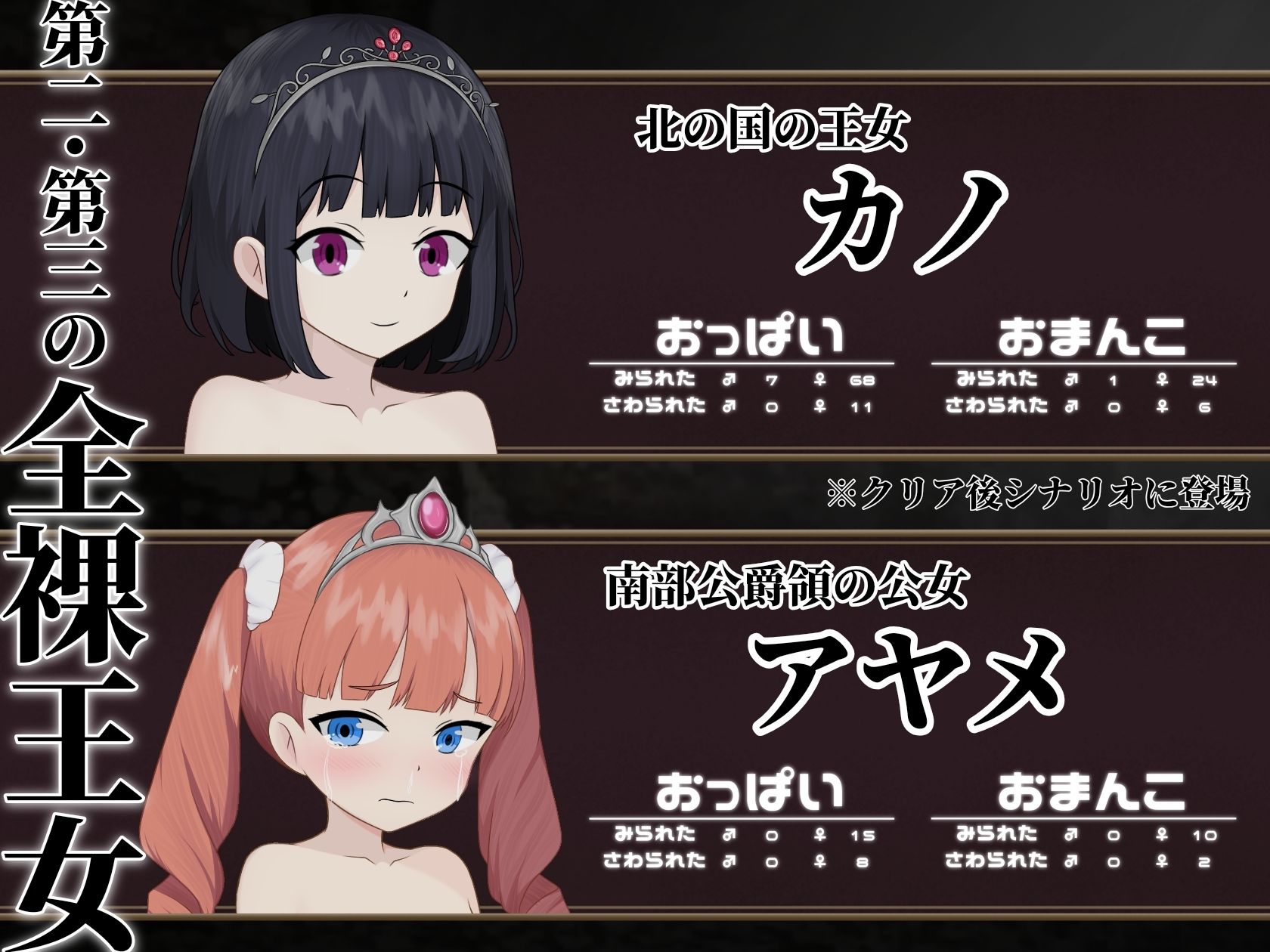 マケヒメゼンラ 〜敗戦国の姫君は中央広場で全裸にされる〜 サンプル画像5