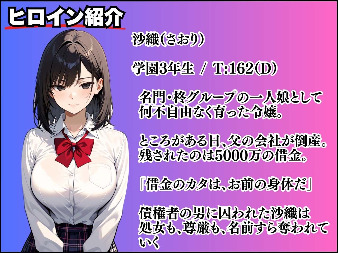 没落令嬢の代償 〜処女、借金のカタにいただきます〜 サンプル画像2