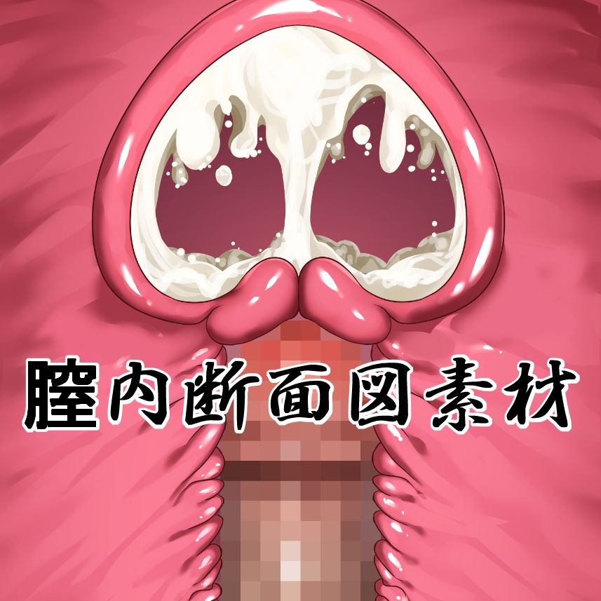 膣内断面図素材 サンプル画像1