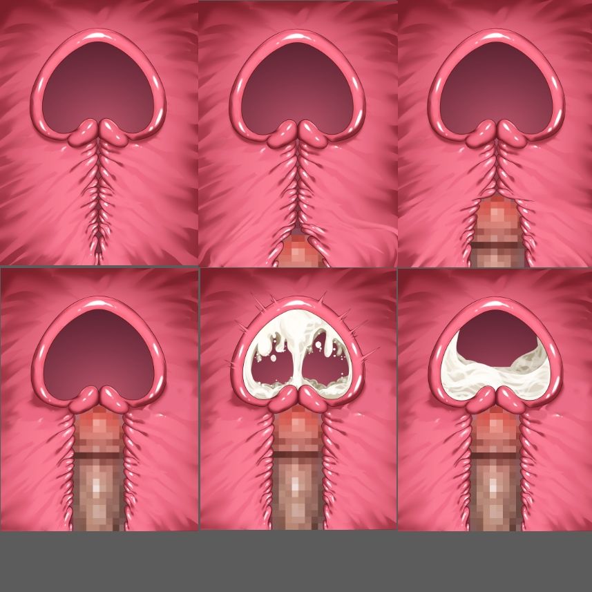 膣内断面図素材 サンプル画像2