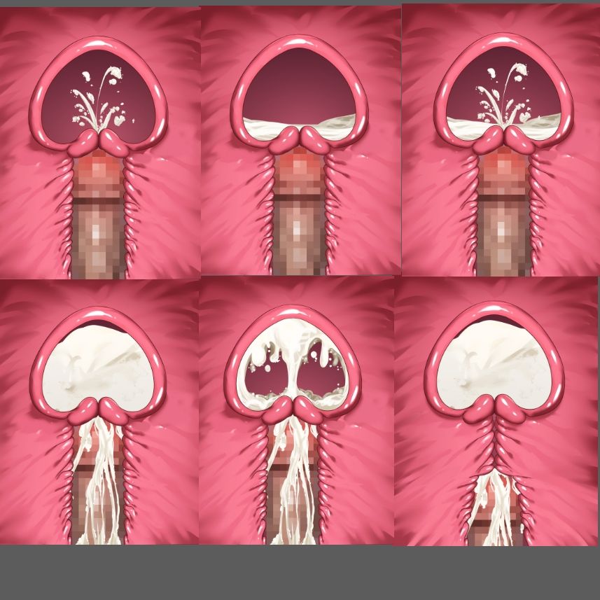 膣内断面図素材 サンプル画像3