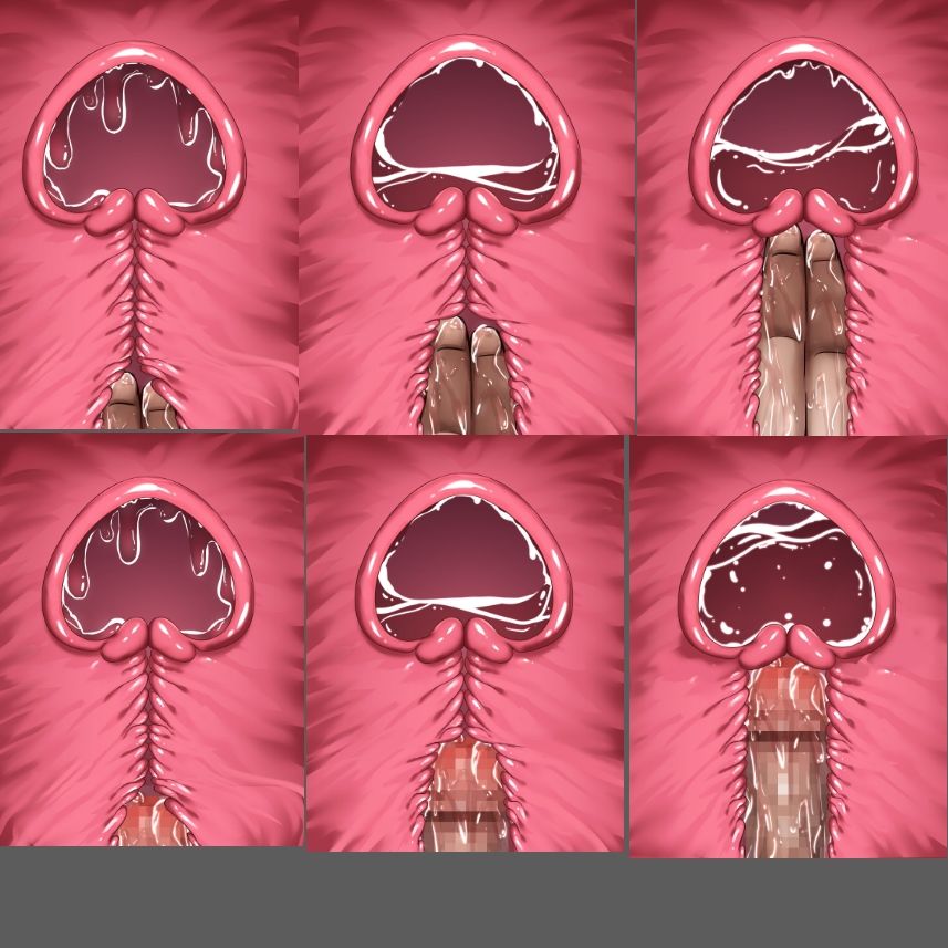 膣内断面図素材 サンプル画像4