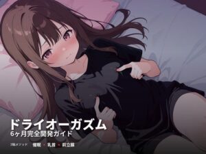 ドライオーガズム6ヶ月完全開発ガイド 催●・乳首・前立腺の3軸メソッド