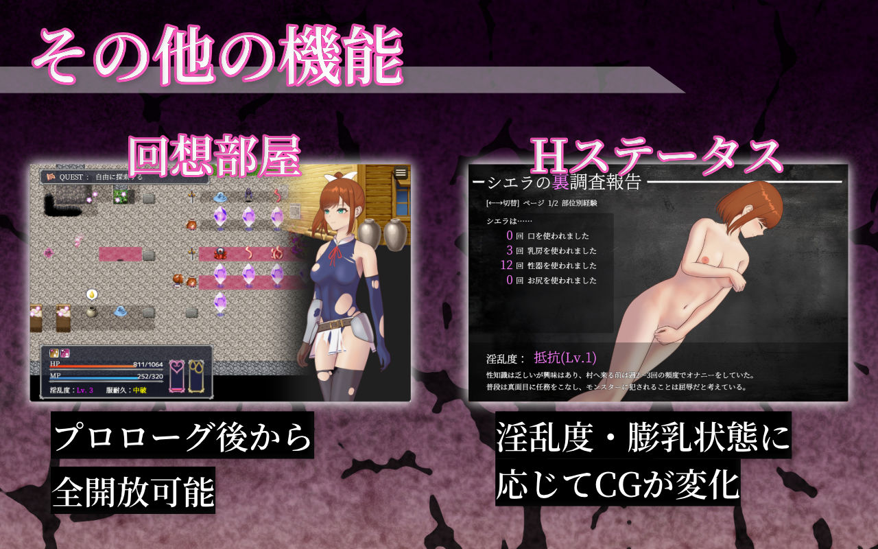 シエラの淫らな異変調査 -女剣士はソロでイク- サンプル画像6