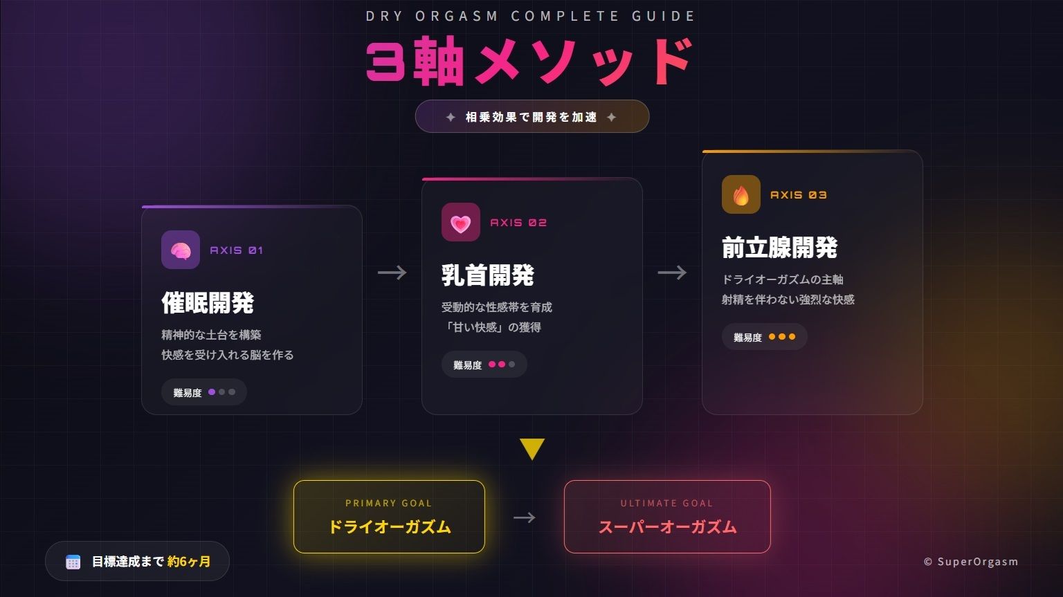 ドライオーガズム6ヶ月完全開発ガイド 催●・乳首・前立腺の3軸メソッド サンプル画像3