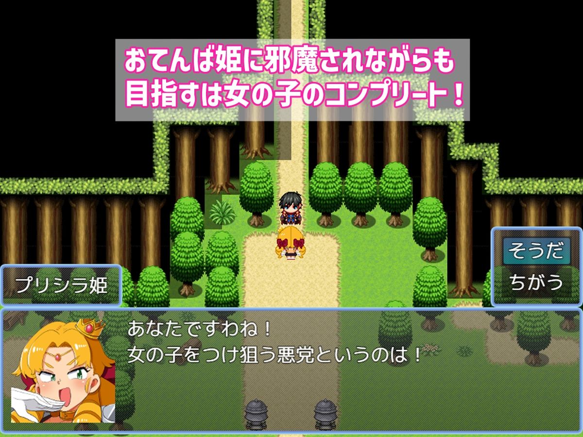 バトルに勝ったら即エッチ〜バトルファックRPG〜 サンプル画像4