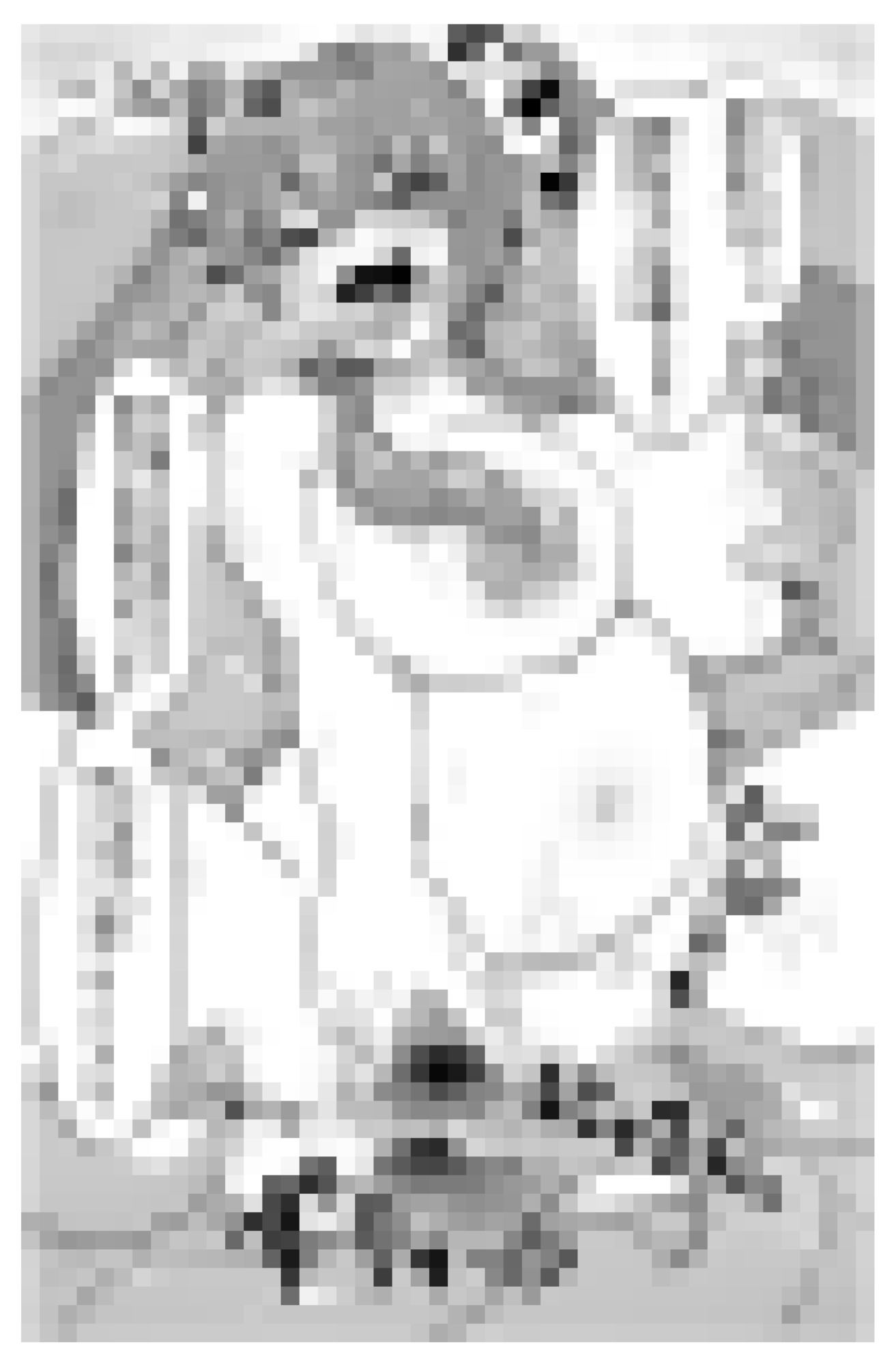 冒涜少女クトゥルフちゃんえちえちペット飼育体験 サンプル画像4