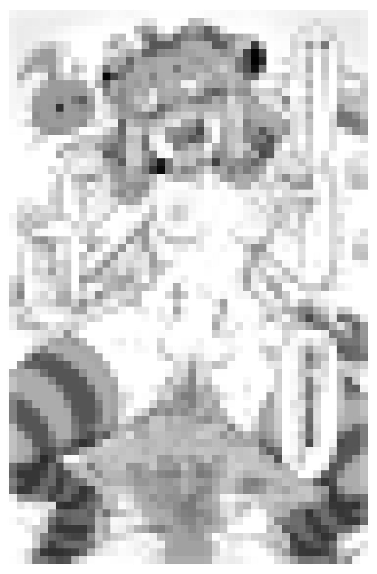 冒涜少女クトゥルフちゃんえちえちペット飼育体験 サンプル画像8