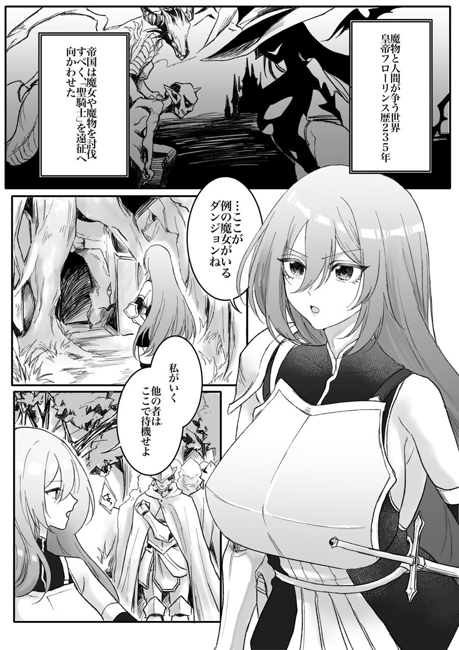 分裂少女  アイビス・フリーゲル サンプル画像1